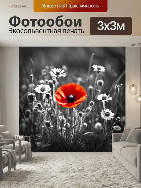Фотообои Черно-белая фотография букета диких цветов, среди которых выделяется один ярко-красный мак, на размытом фоне …
