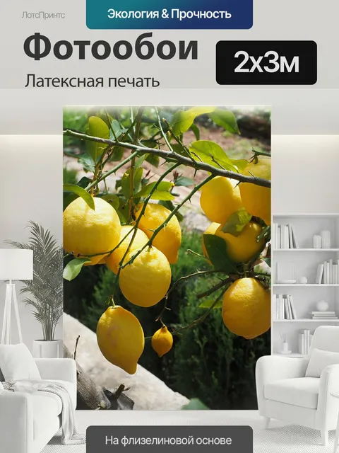 200 × 300 см · Латексная печать