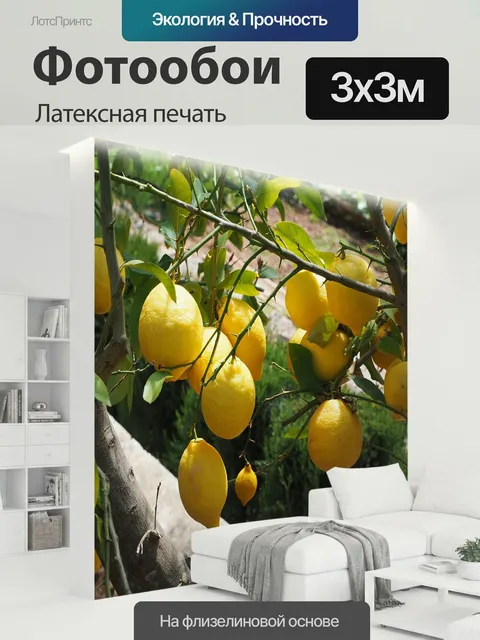 300 × 300 см · Латексная печать