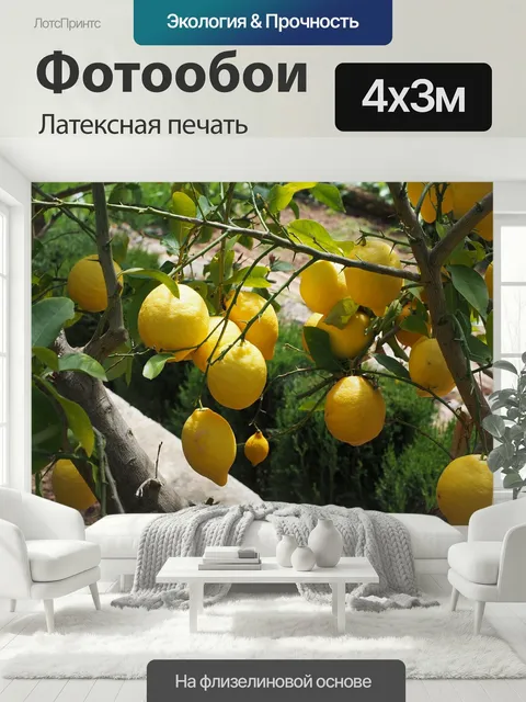 400 × 300 см · Латексная печать