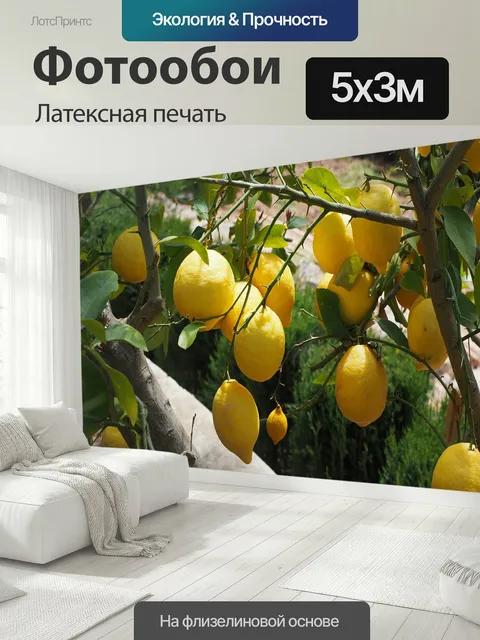 500 × 300 см · Латексная печать