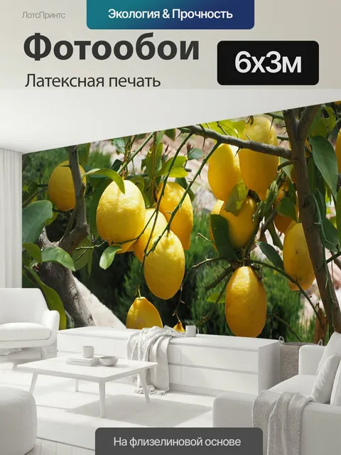 600 × 300 см · Латексная печать