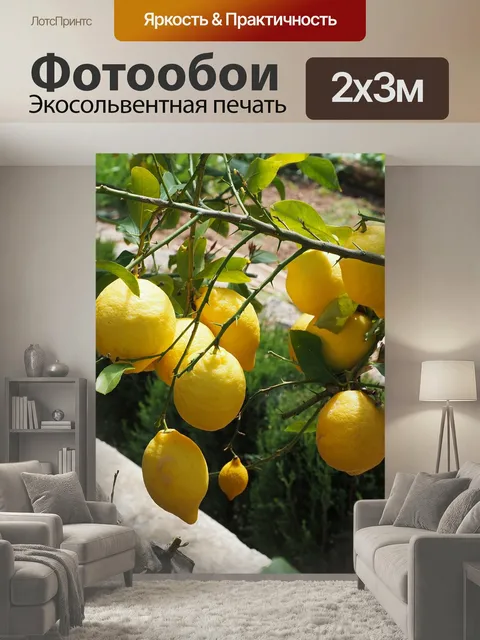 200 × 300 см · Экосольвентная печать