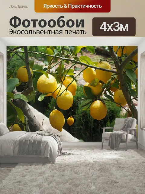400 × 300 см · Экосольвентная печать