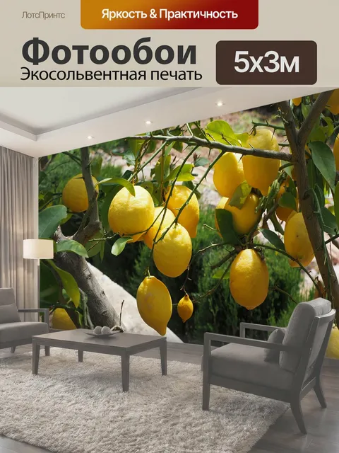 500 × 300 см · Экосольвентная печать