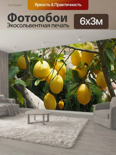 600 × 300 см · Экосольвентная печать