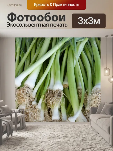 Фотообои Лук-порей, зеленый лук, еда