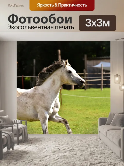 Фотообои Плесень, лошадь, любовь к животным