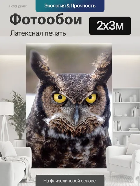 200 × 300 см · Латексная печать