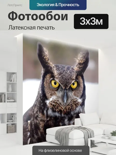 300 × 300 см · Латексная печать