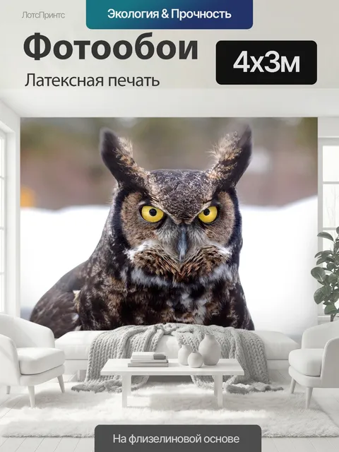 400 × 300 см · Латексная печать