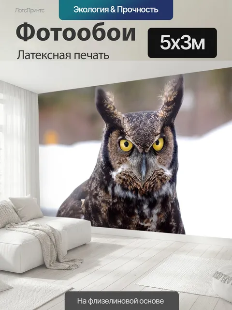 500 × 300 см · Латексная печать