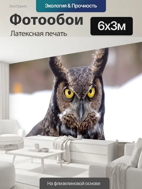 600 × 300 см · Латексная печать