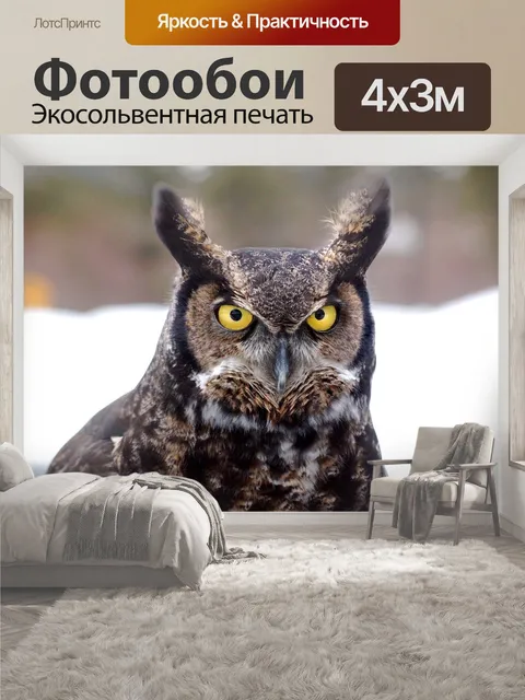 400 × 300 см · Экосольвентная печать