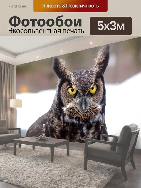 500 × 300 см · Экосольвентная печать