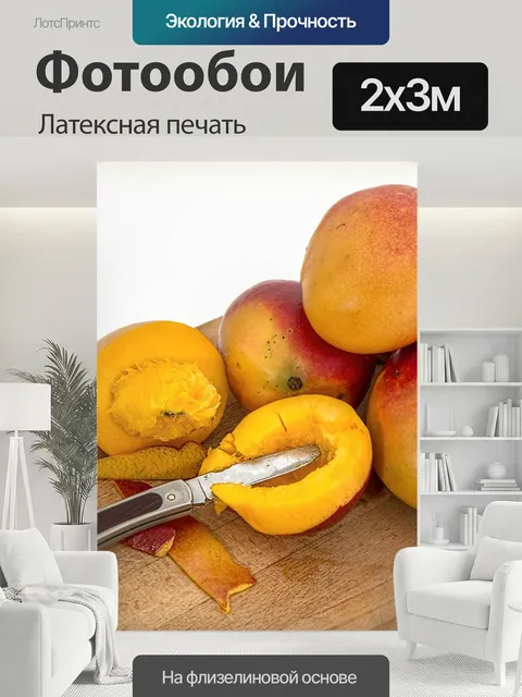 200 × 300 см · Латексная печать