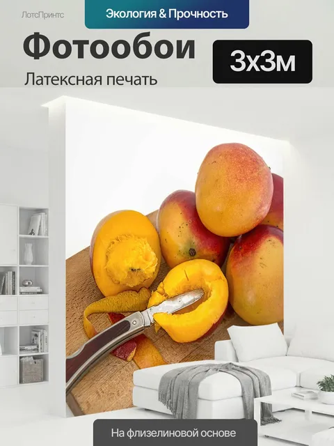 300 × 300 см · Латексная печать