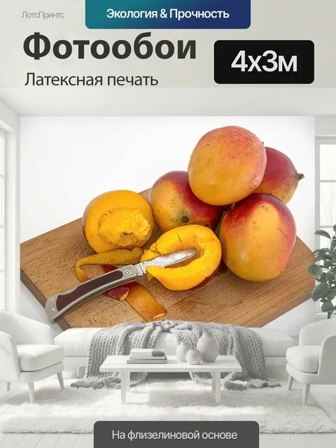 400 × 300 см · Латексная печать