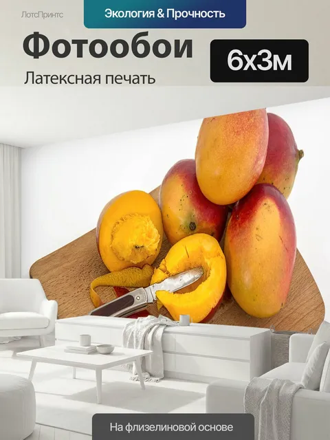 600 × 300 см · Латексная печать
