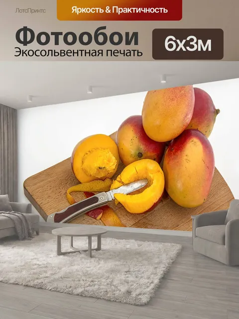 600 × 300 см · Экосольвентная печать