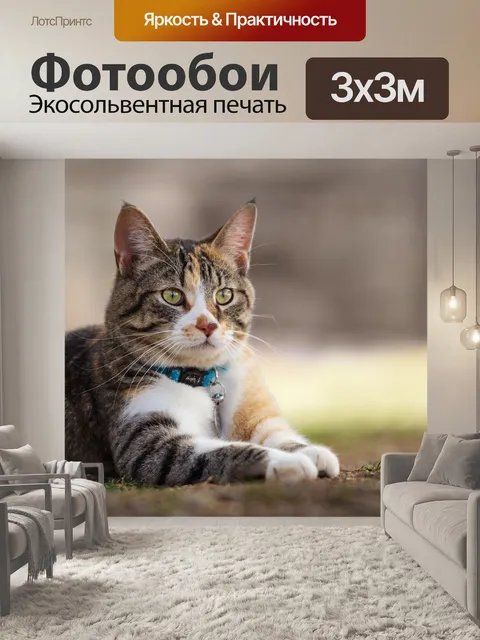 Фотообои Животное, милый, природа