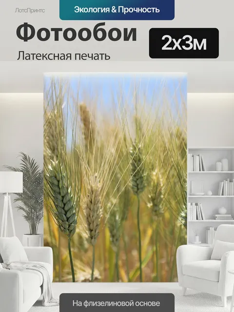 200 × 300 см · Латексная печать
