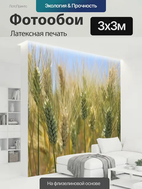 300 × 300 см · Латексная печать