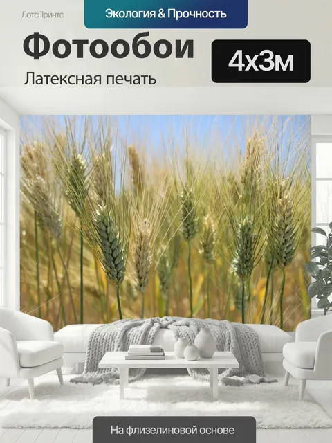 400 × 300 см · Латексная печать