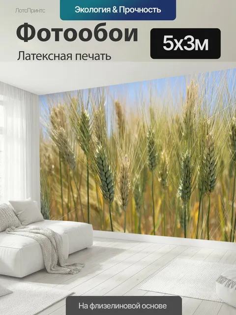 500 × 300 см · Латексная печать