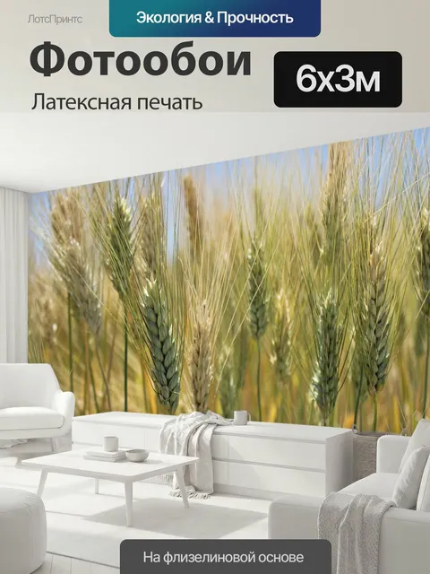 600 × 300 см · Латексная печать