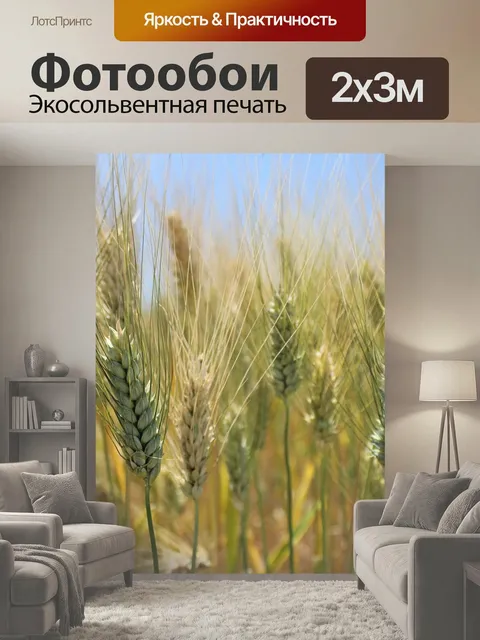 200 × 300 см · Экосольвентная печать