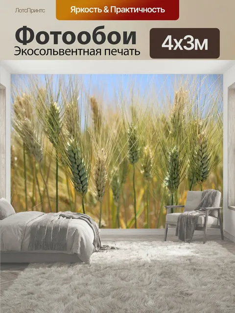 400 × 300 см · Экосольвентная печать