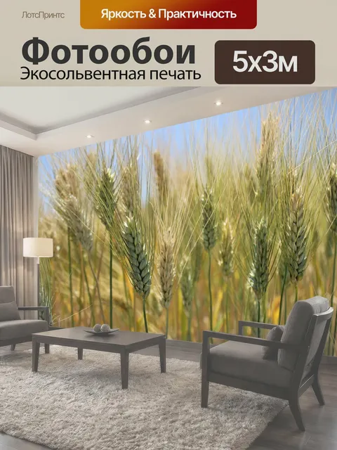 500 × 300 см · Экосольвентная печать