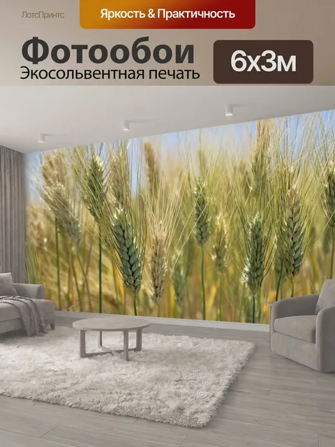 600 × 300 см · Экосольвентная печать