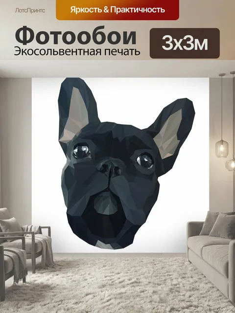 Фотообои Животные, собака, французкий бульдог