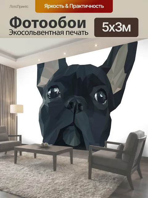 Фотообои Животные, собака, французкий бульдог
