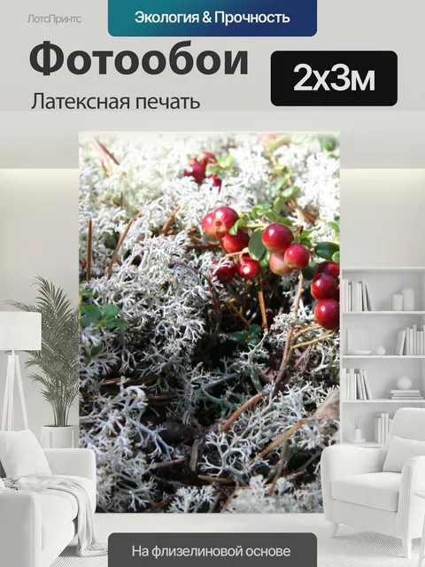 200 × 300 см · Латексная печать