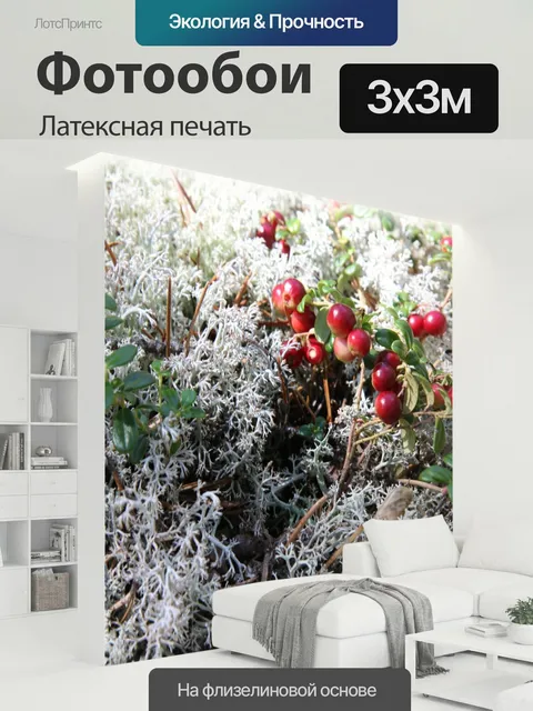 300 × 300 см · Латексная печать