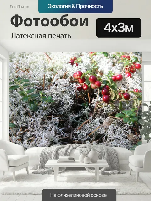 400 × 300 см · Латексная печать