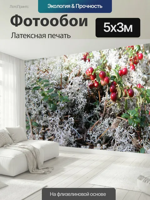 500 × 300 см · Латексная печать