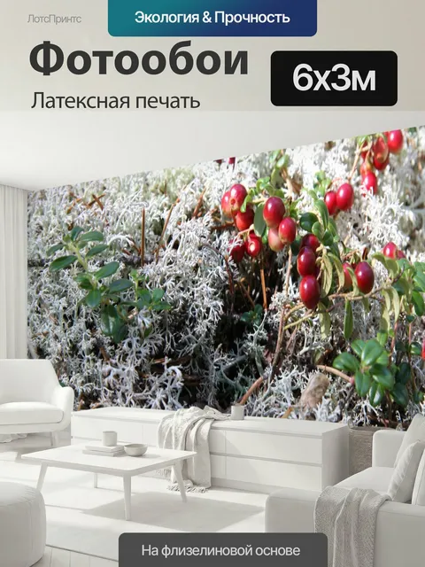 600 × 300 см · Латексная печать