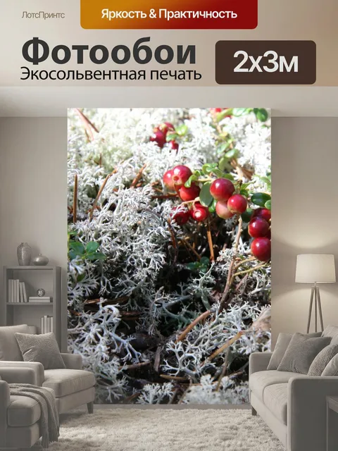 200 × 300 см · Экосольвентная печать