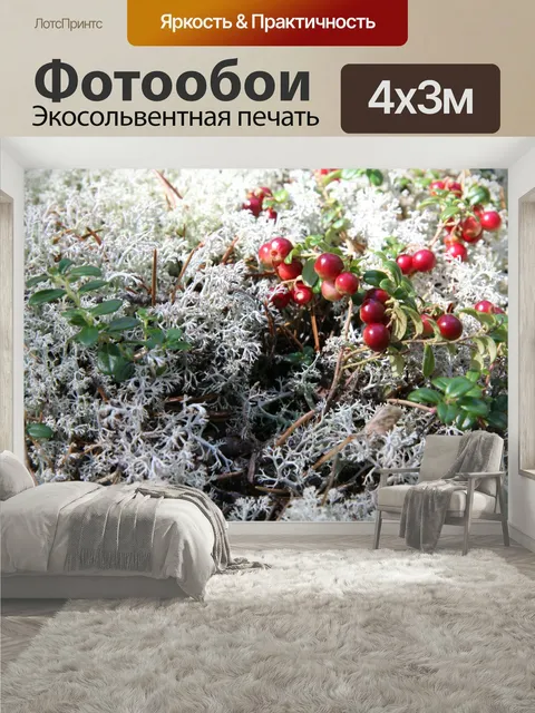 400 × 300 см · Экосольвентная печать
