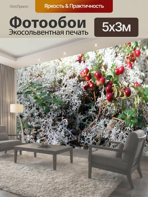 500 × 300 см · Экосольвентная печать