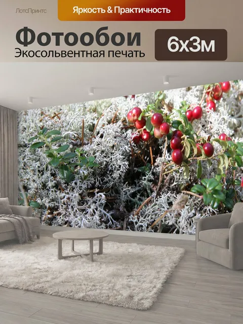 600 × 300 см · Экосольвентная печать