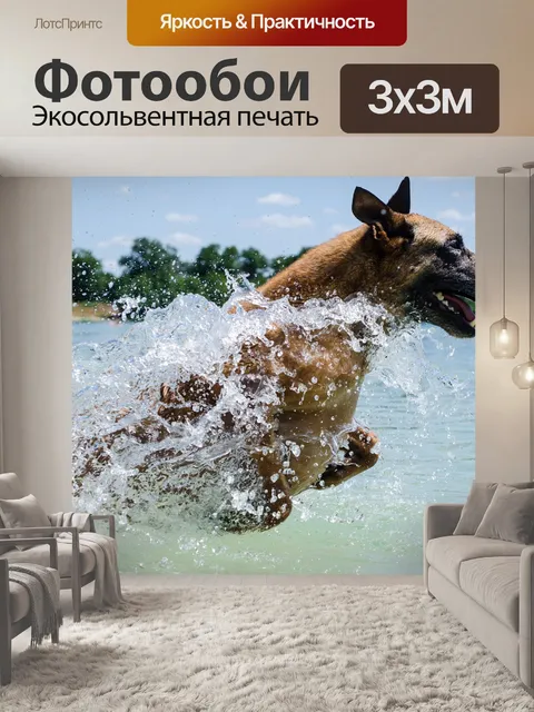 Фотообои Малинуа, собака, вода