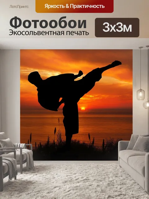 Фотообои Заход солнца, спорт, каратэ