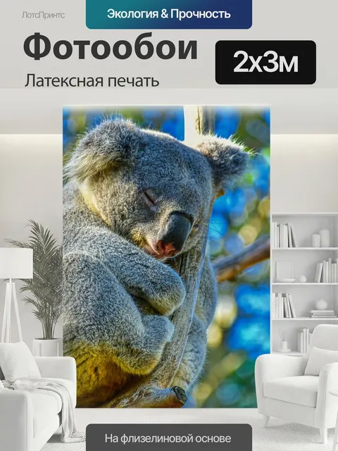 200 × 300 см · Латексная печать