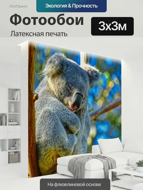 300 × 300 см · Латексная печать