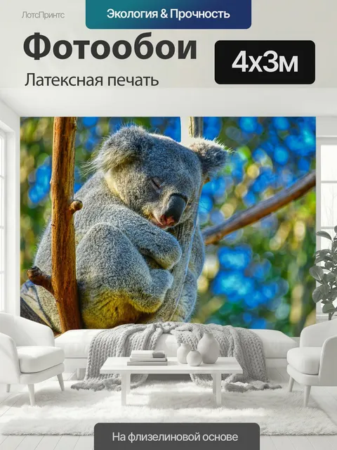400 × 300 см · Латексная печать